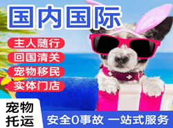 和田昆冈机场快运国际宠物托运 【国